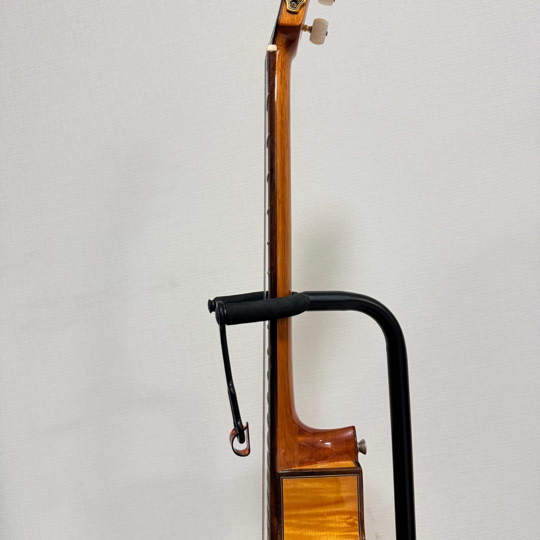 極美品　エレガット　Aria A-58CWE/M 薄胴