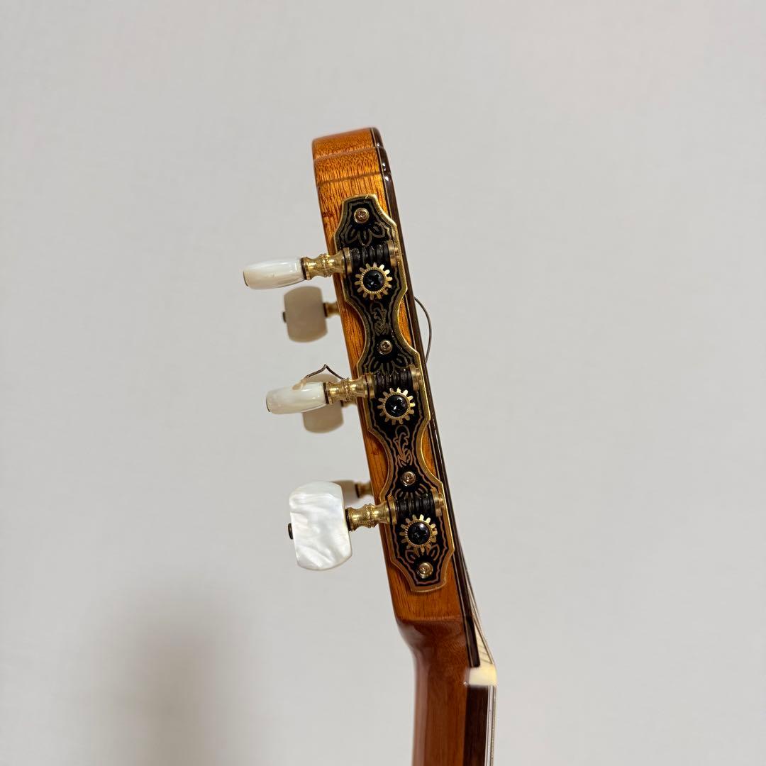 極美品　エレガット　Aria A-58CWE/M 薄胴