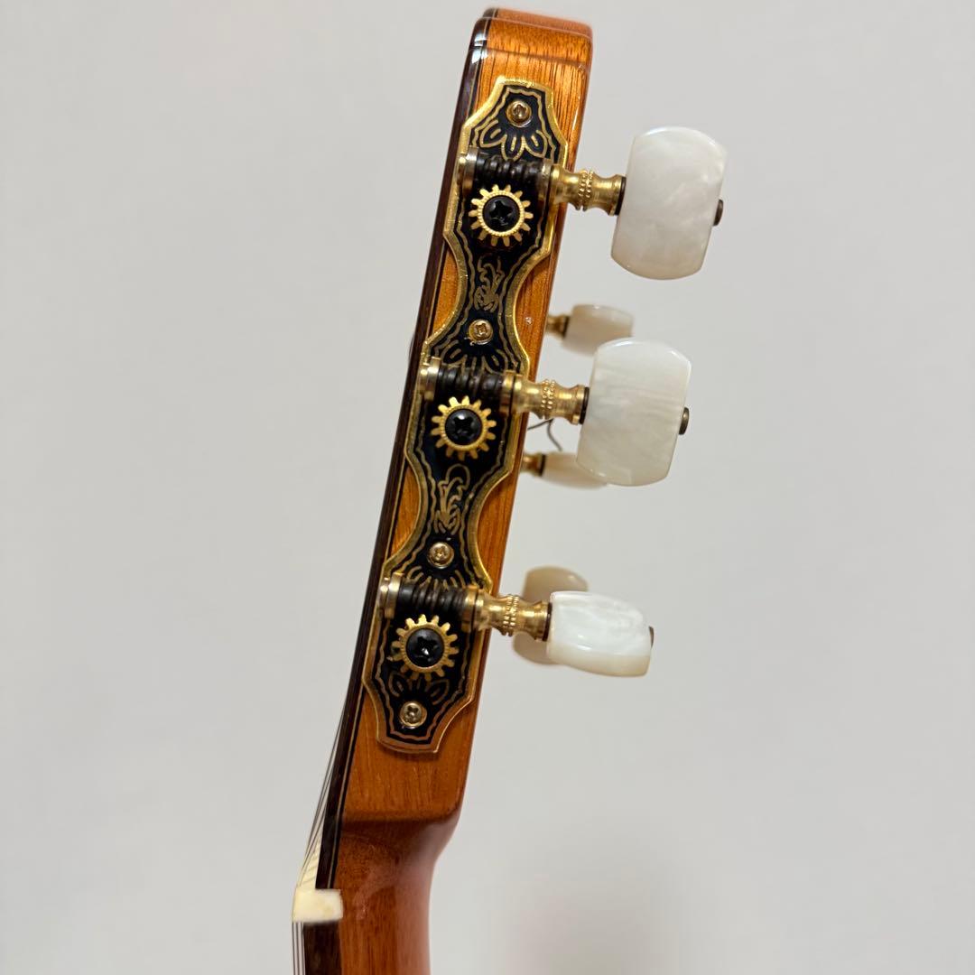 極美品　エレガット　Aria A-58CWE/M 薄胴