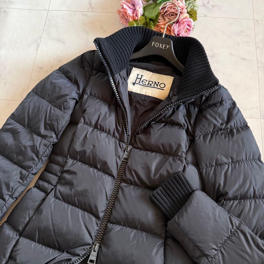 美品☆HERNO ポーラーテック リブ切替 ダウンコート ネイビー 38