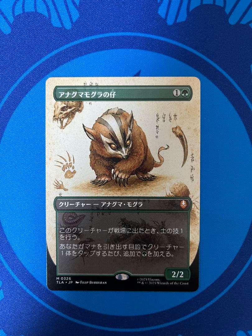 MTG アナグマモグラの仔 ボーダーレス版 日本語版 アナグマモグラの仔/Badgermole Cub《日本語》【TLA】