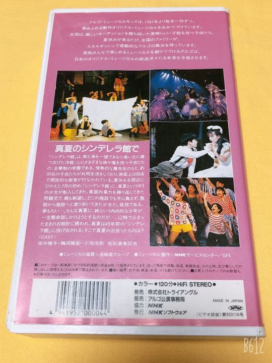 入手困難 廃盤VHSビデオ☆真夏のシンデレラ館で アルゴミュージカル