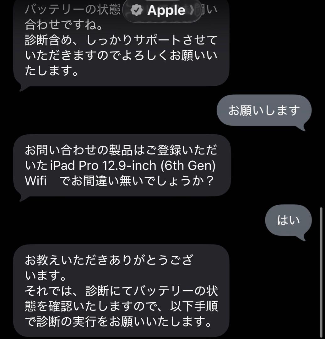 最終価格iPad Pro M2 12.9 1TB Wi-Fi AppleCare