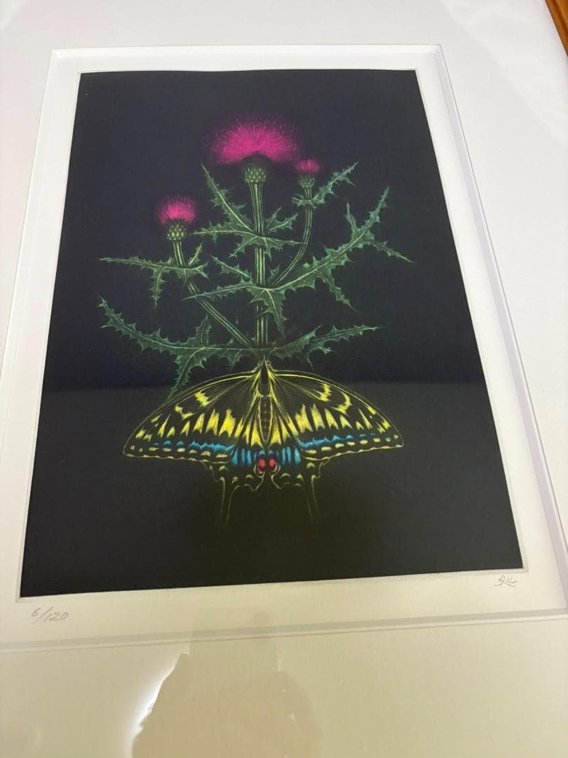 加山又造　薊　銅版画　限定120枚のうちの6番 加山又造の木版画「白馬」や銅版画など【東京都豊島区目白】 ｜骨董品