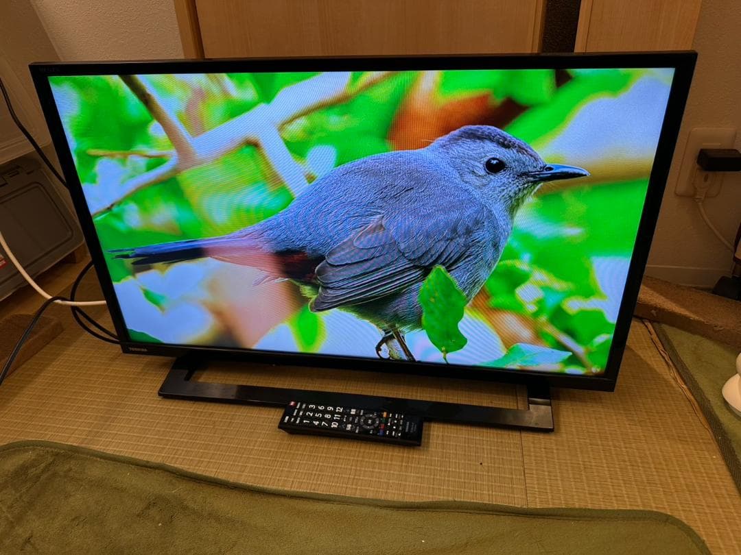 東芝 TOSHIBA　レグザ　テレビ 32型　32S22　2019年製　超美品！