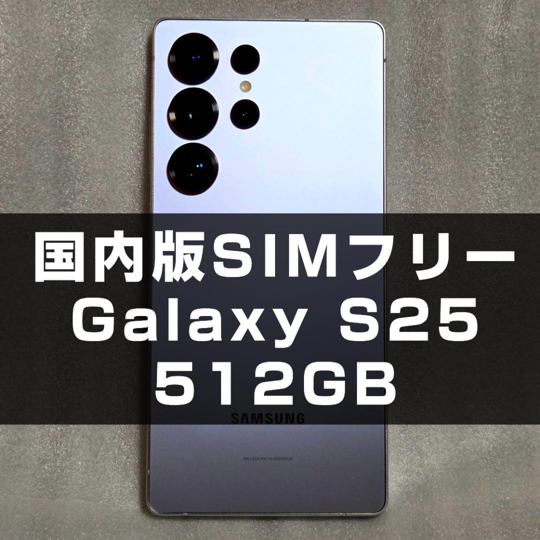 Galaxy S25 Ultra 512GB 国内版SIMフリー シルバーブルー サムスン Galaxy S25 Ultra 512GB SIMフリー [チタニウム シルバー