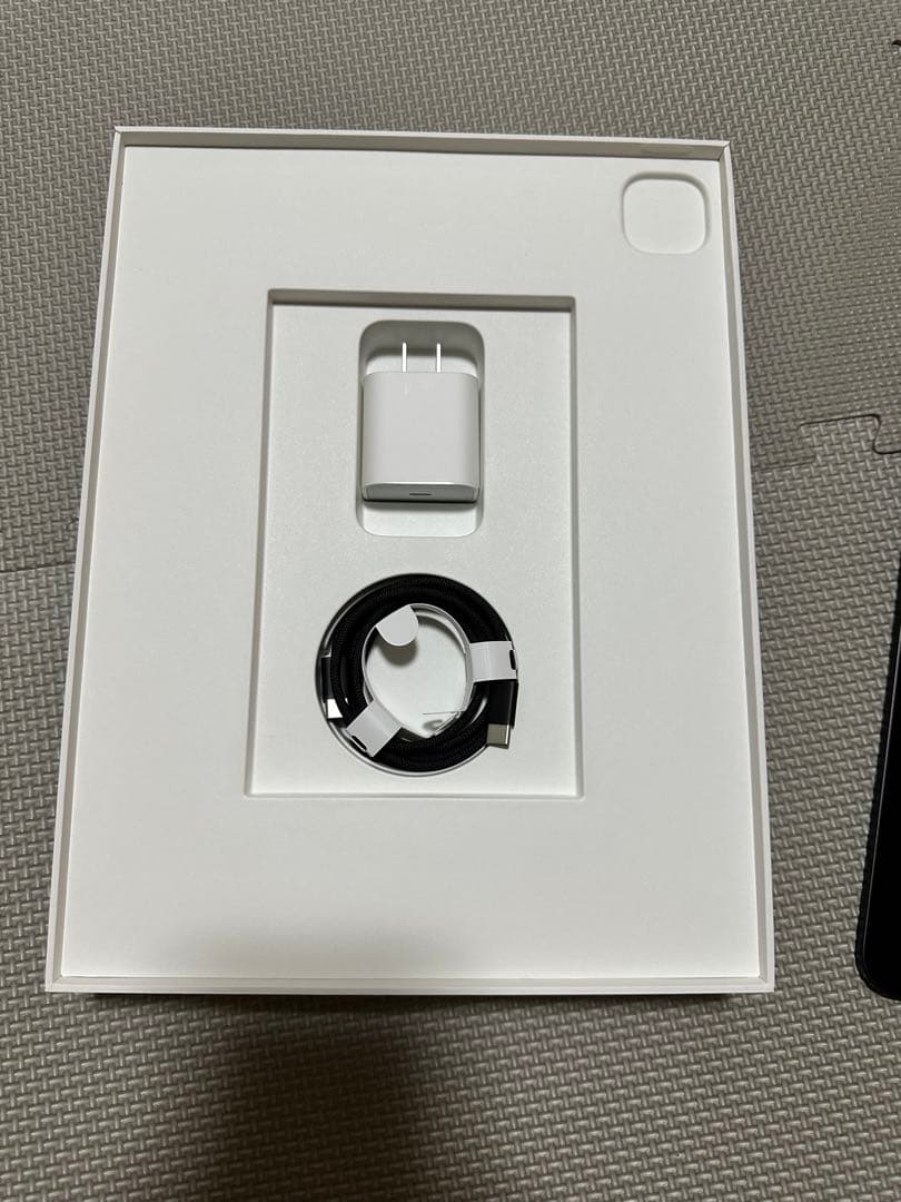 【美品】iPad Pro M4 13インチ 256GB Wi-Fiモデル 本体