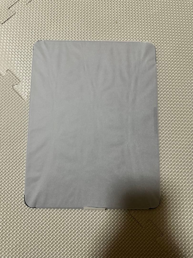 【美品】iPad Pro M4 13インチ 256GB Wi-Fiモデル 本体