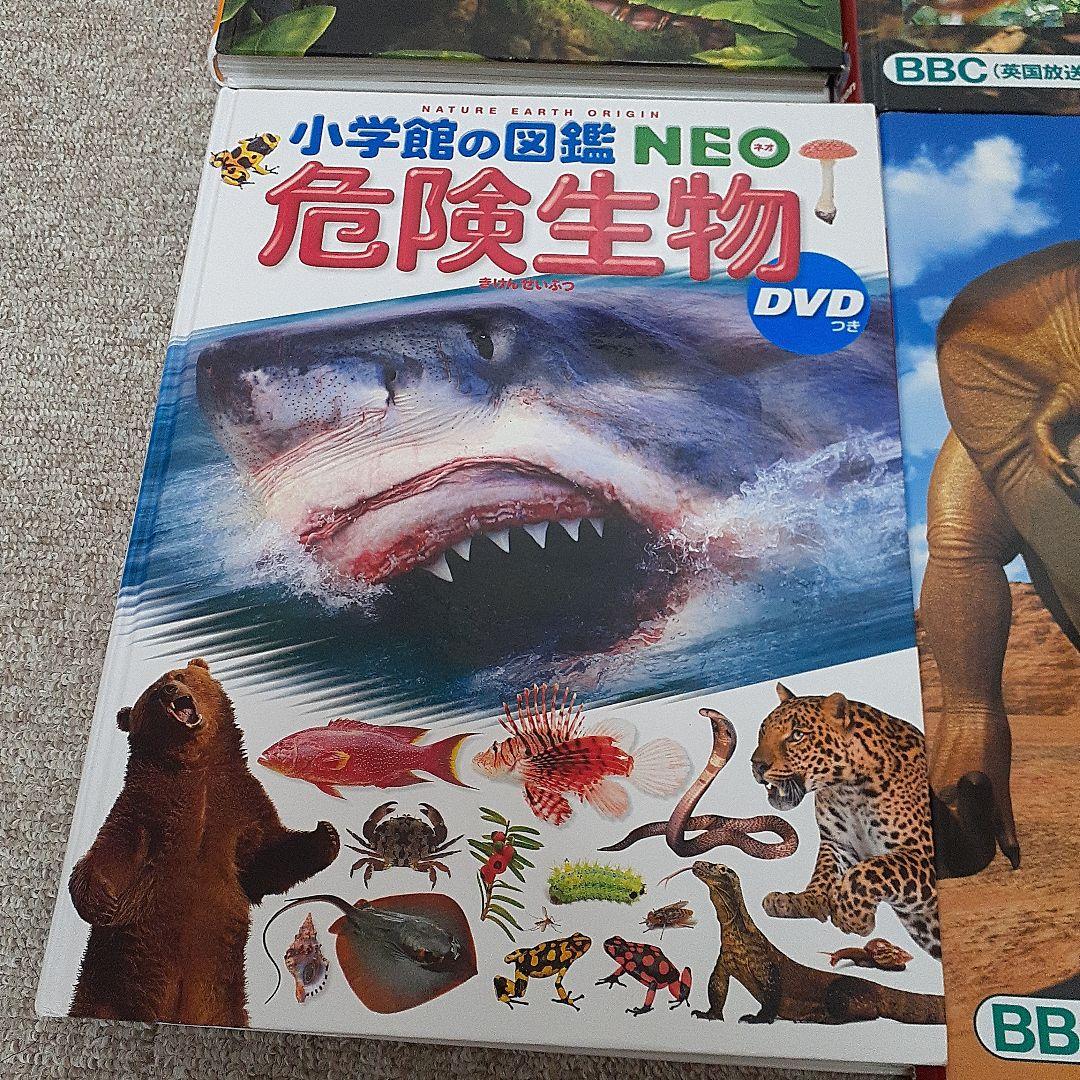 心霊写真大百科 ケイブンシャの大百科 296 宮保愛子 怪奇系児童書