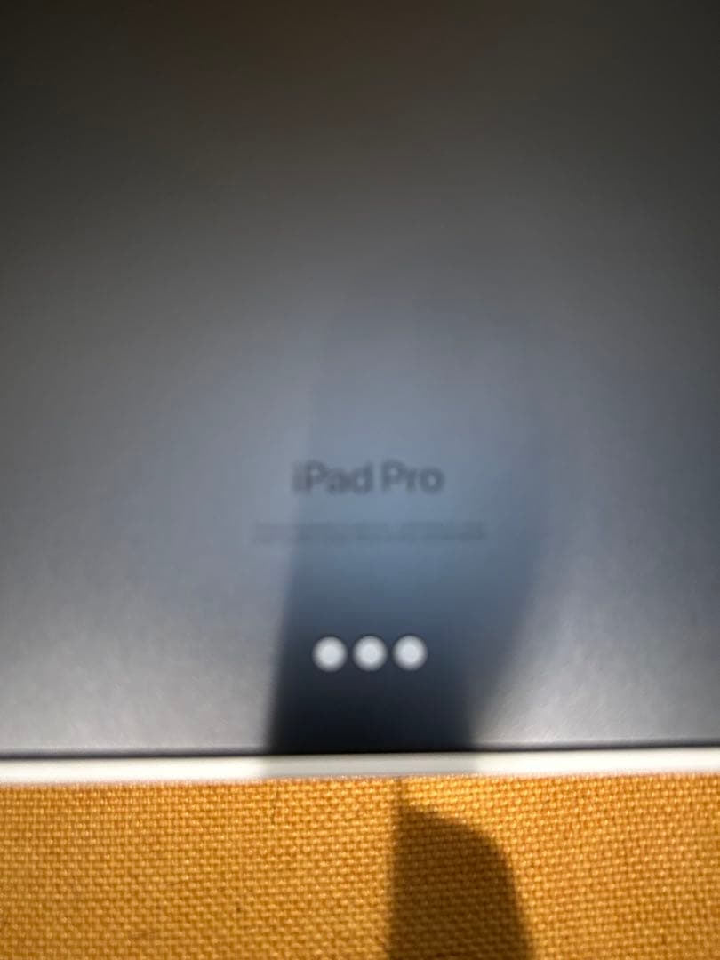 iPad Pro 13インチ 〇シャーキー