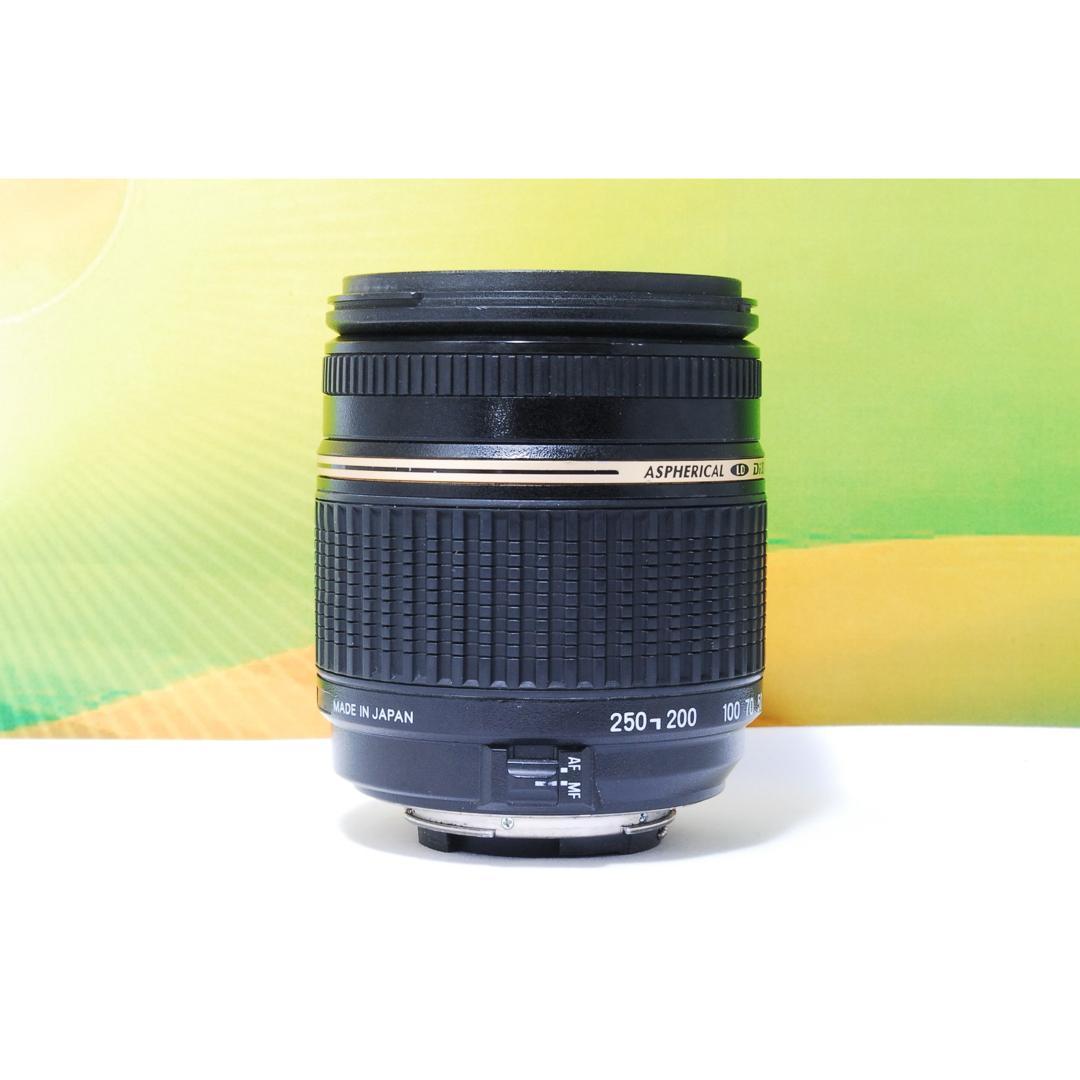 近くも遠くも撮れる✨TAMRON AF 18-250mm Nikon用