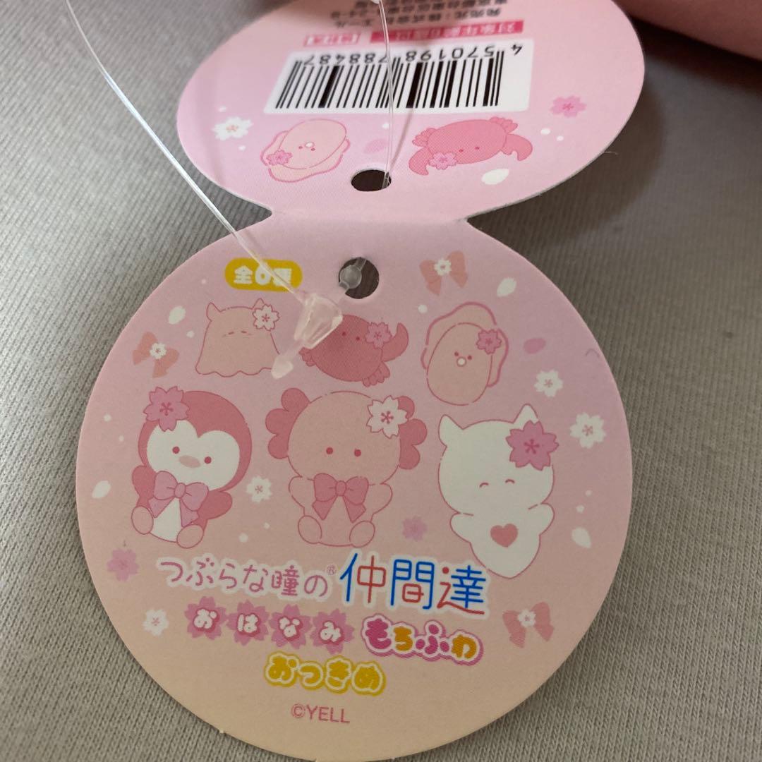 つぶらな瞳の仲間達　おはなみ　もちふわ　おっきめ