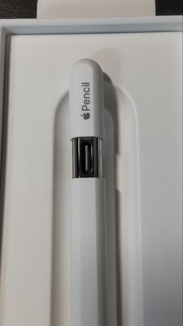 iPadアクセサリー Apple Pencil USB-C MUWA3ZA/A