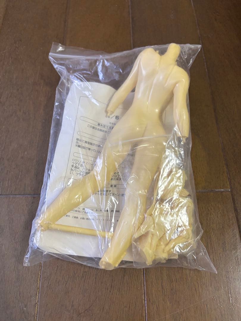 DEAD OR ALIVE デッドオアアライブ　リサ　ガレージキット