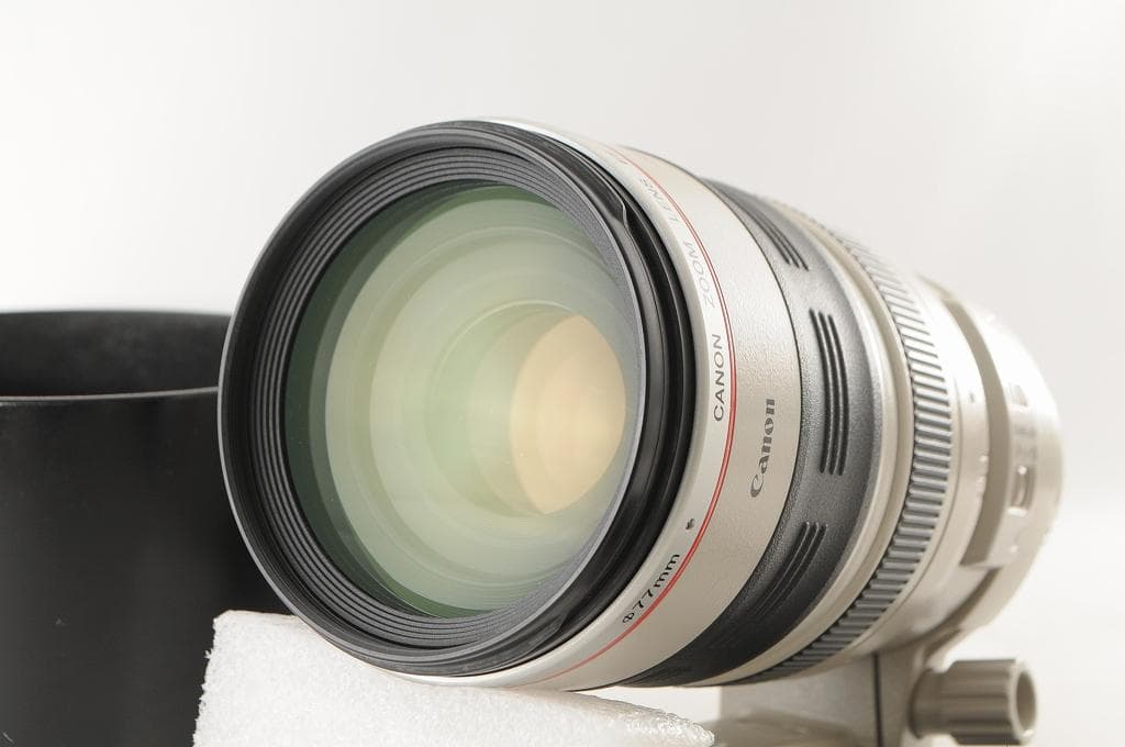 Canon キヤノン EF100-400mm F4.5-5.6L IS USM