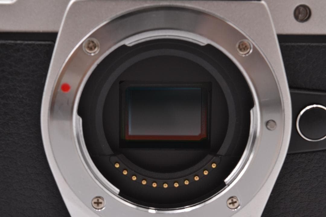 ■ 美品 ■ オリンパス　OM-D E-M10 Mark Ⅱ ボディ