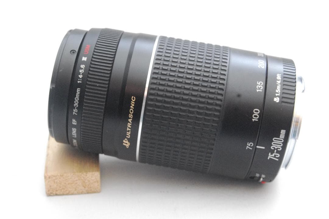 CANON ZOOM LENS EF 75-300mm 1:4-5.6 ⅢUSM