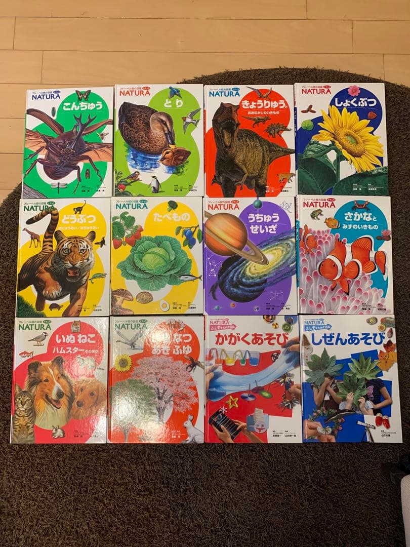 フレーベル館の図鑑　NATURA 12冊セット NATURA 図鑑 フレーベル館 12巻セット - メルカリ