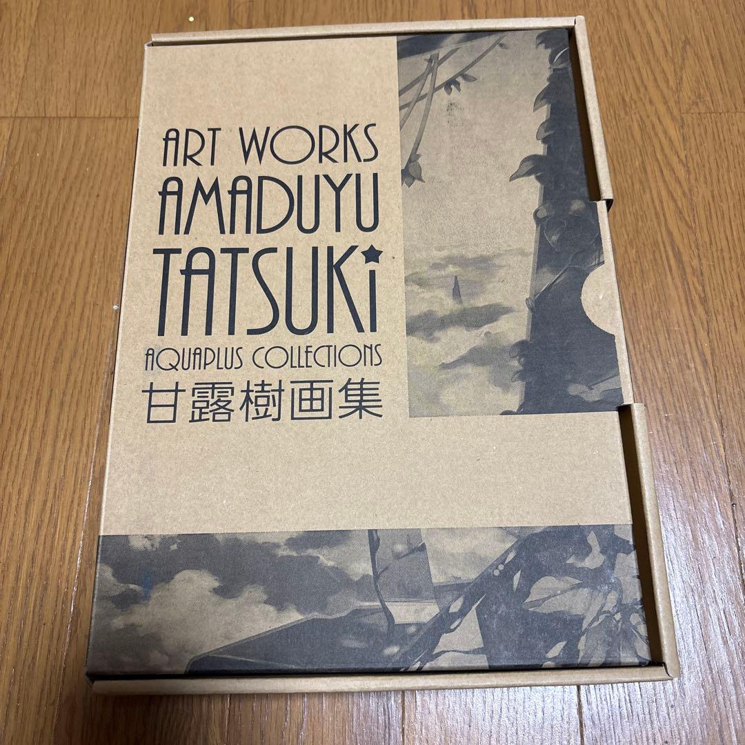 限定版　AMADUYU TATSUKI ART WORKS 甘露樹画集