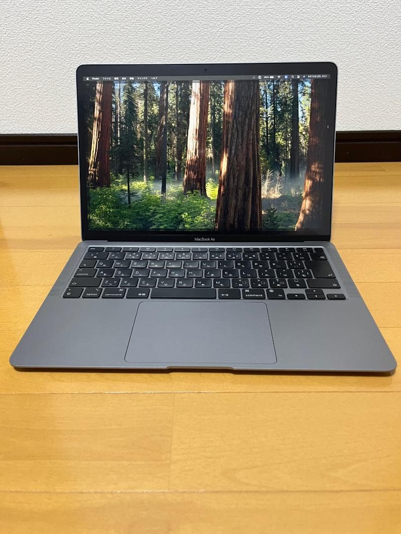 MacBook Air M1 2020年モデル 【軽度不具合あり・画面ちらつき】 MacBook Air M1 (2020) の画面に横線が入る : r/applehelp