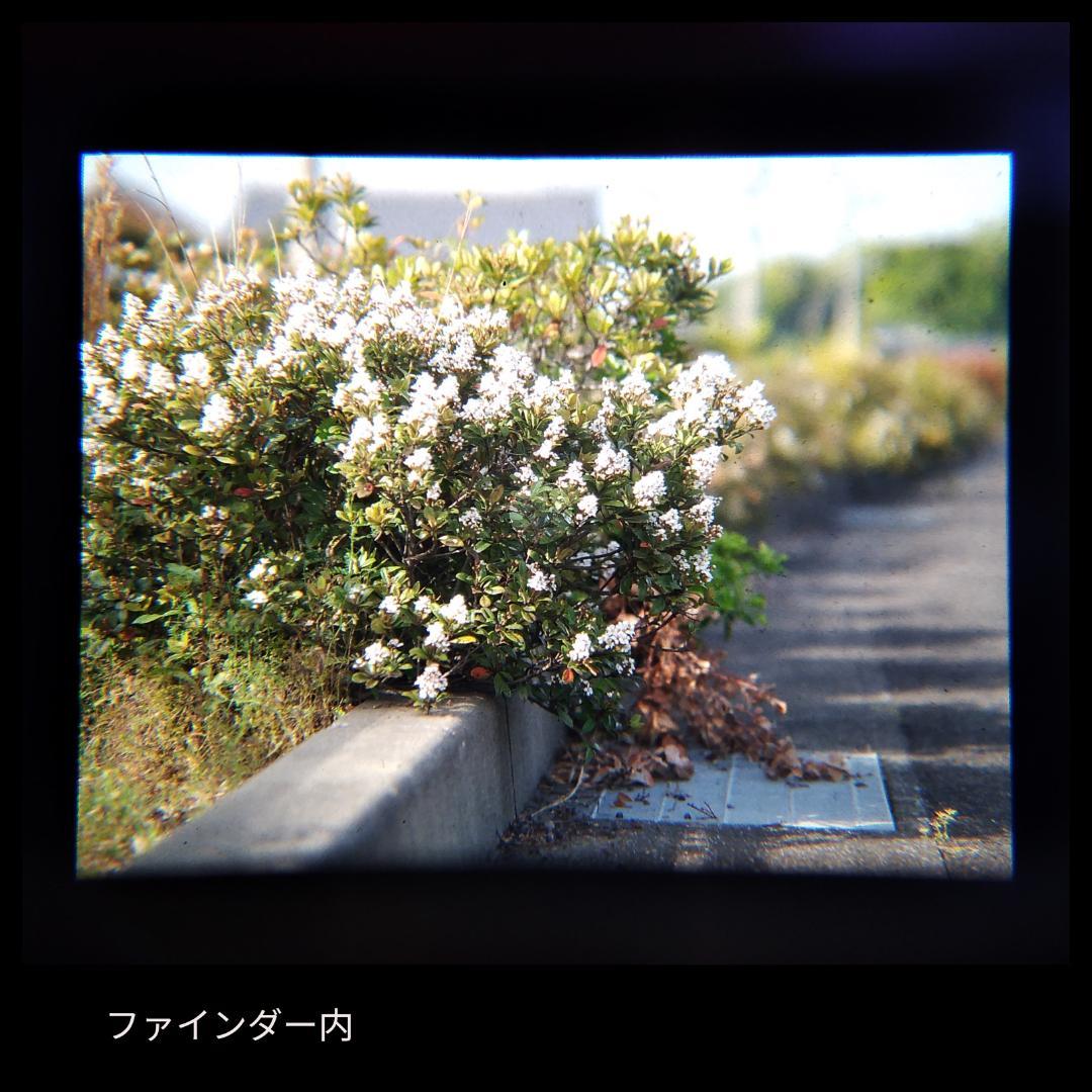 分解清掃・整備済み　PENTAX 67 ペンタックス 6×7 動作品レンズ付き⑭