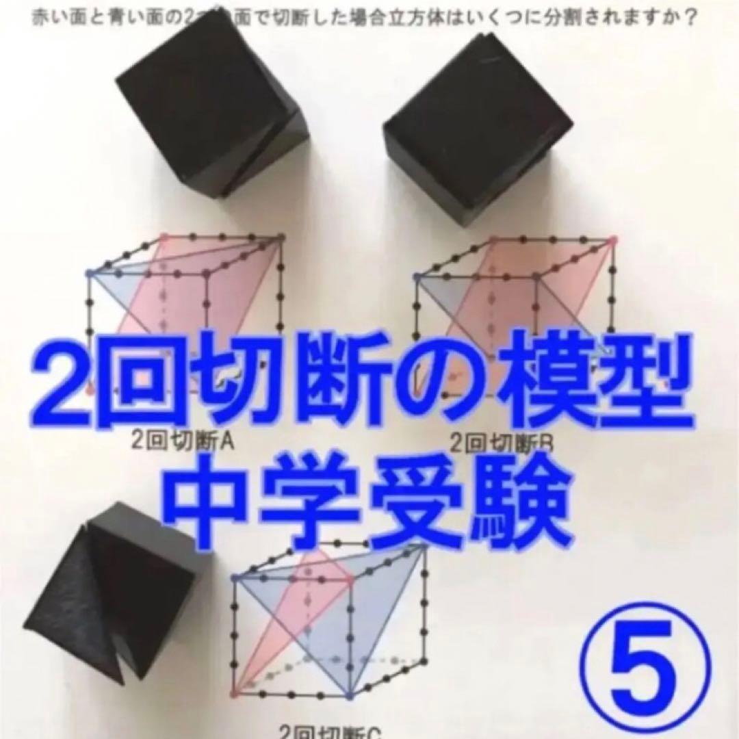 立体の切断模型 ①②④⑤⑥⑦⑧⑨⑩ 一覧 - メルカリ