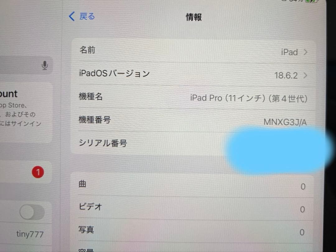 【美品】 iPad Pro 11インチ 256GB Wi-Fiモデル 第4世代