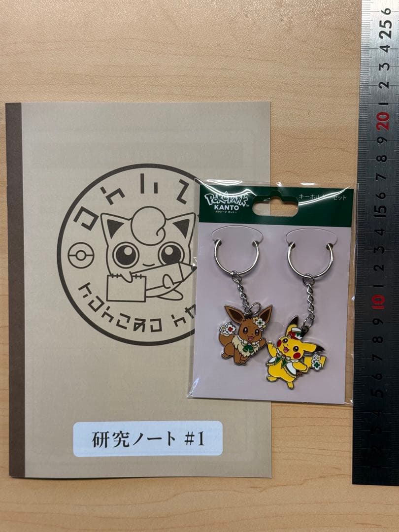 ポケパークカントー 非売品冊子付き ピカチュウ イーブイ キーホルダー