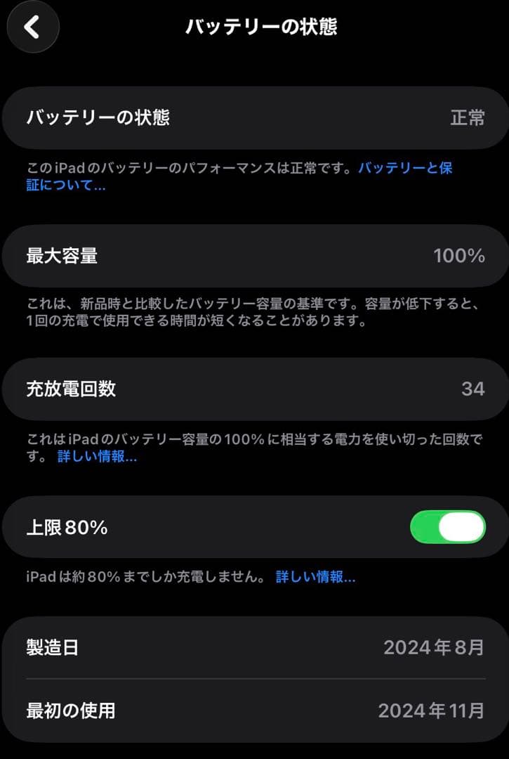 iPad mini 第7世代(A17Pro) 128GB スペースグレイ おまけ