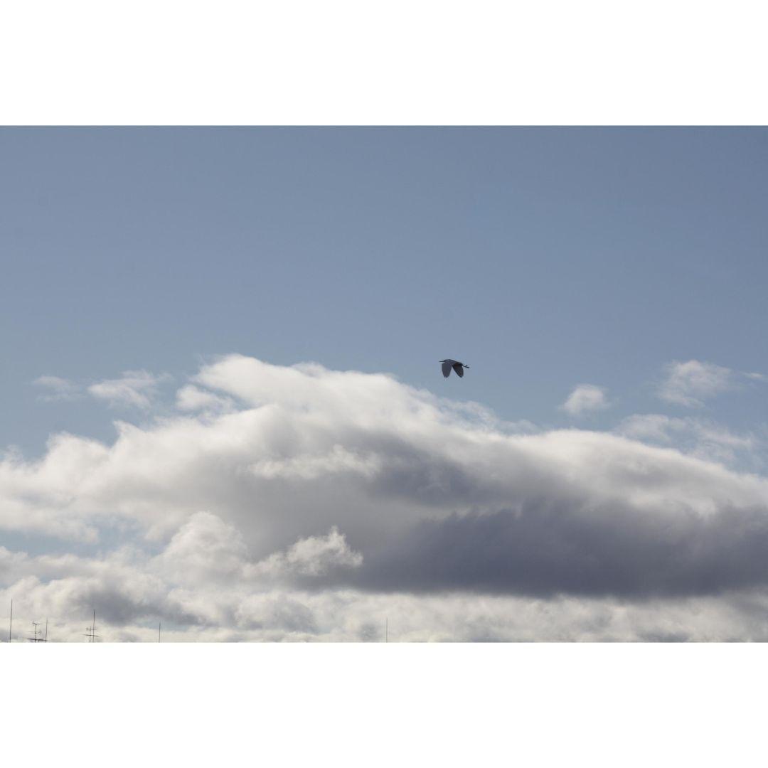 ❤即購入1000円OFF❤ キャノン Kiss X2 超望遠 ダブルレンズ