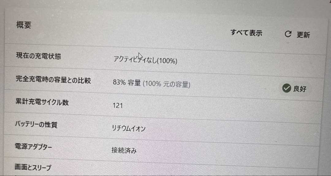 【ジャンク】ThinkBook15 Gen2（増設メモリ16GB付）