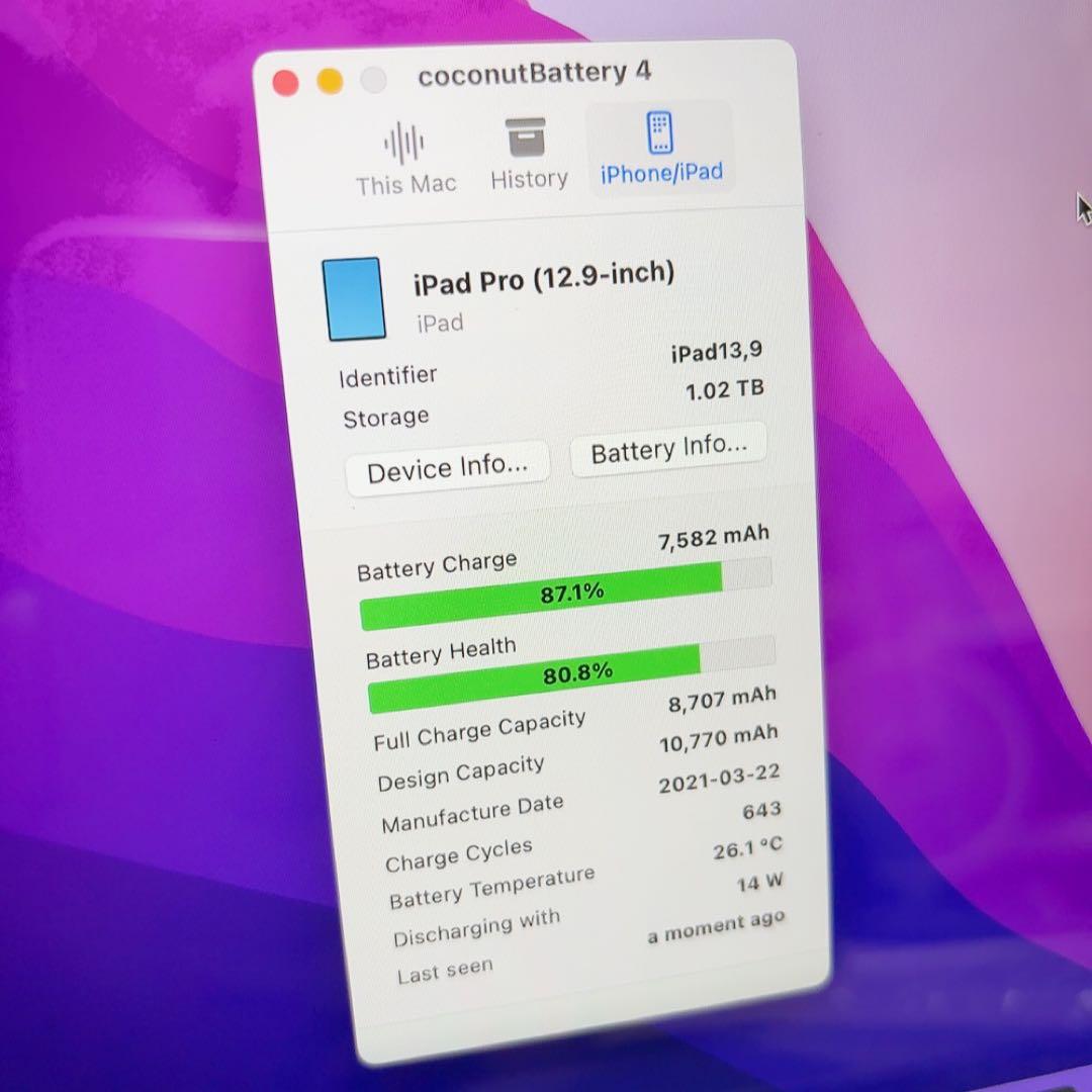 iPad Pro（5世代）12.9【1TB】とApple Pencil2のセット