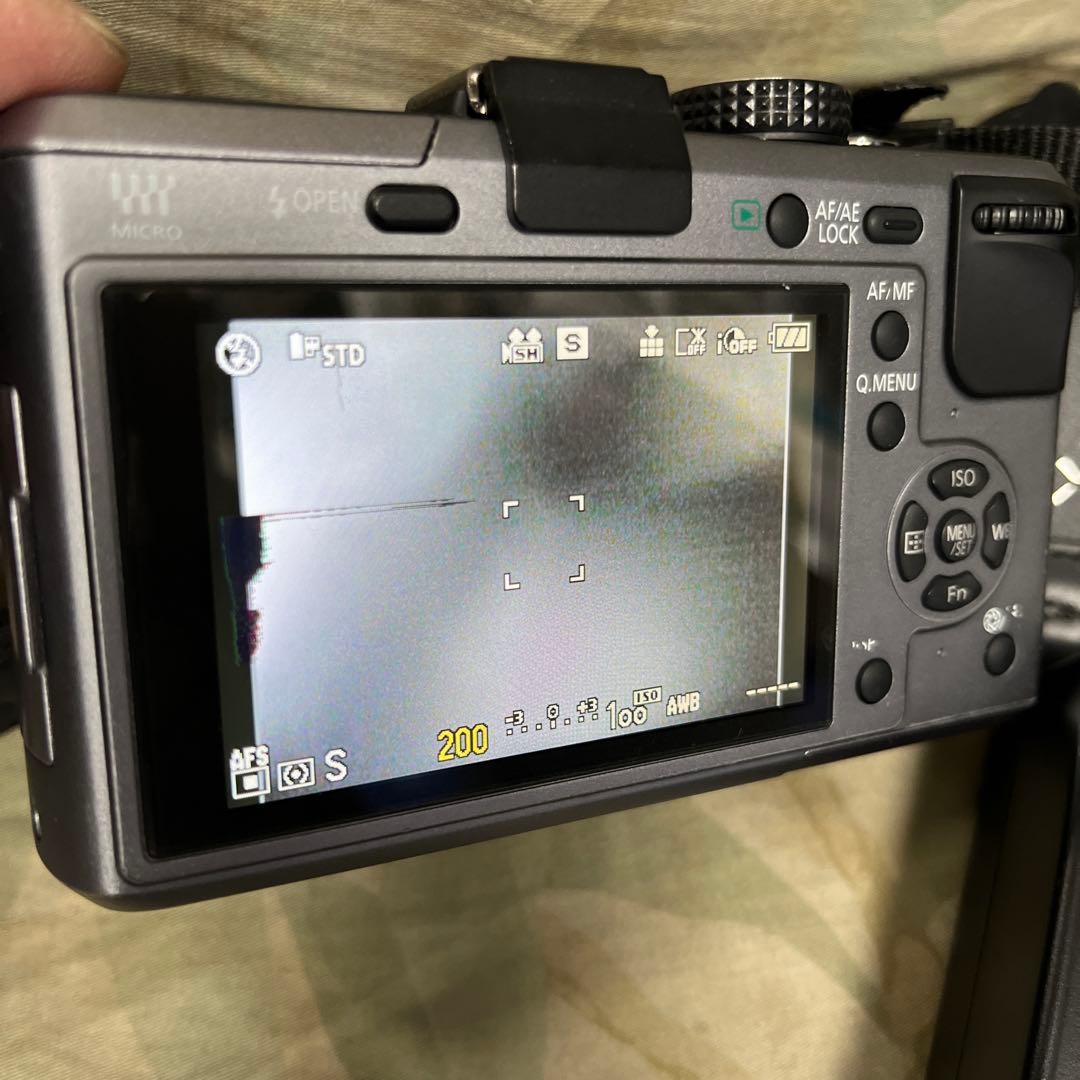 Panasonic LUMIX DMC-GF1【ブレードシルバー】