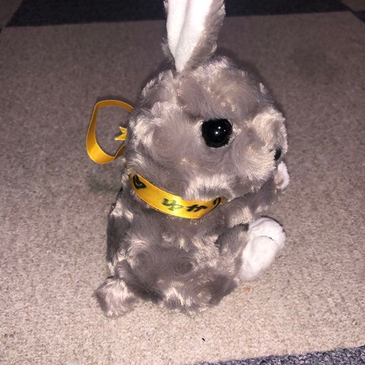 ティモうさ(田村ゆかりさんのメッセージ入り) 購入