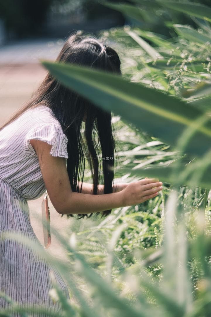 格安！バブルボケ！Meyer TRIOPLAN 100mm F2.8 ゼブラ