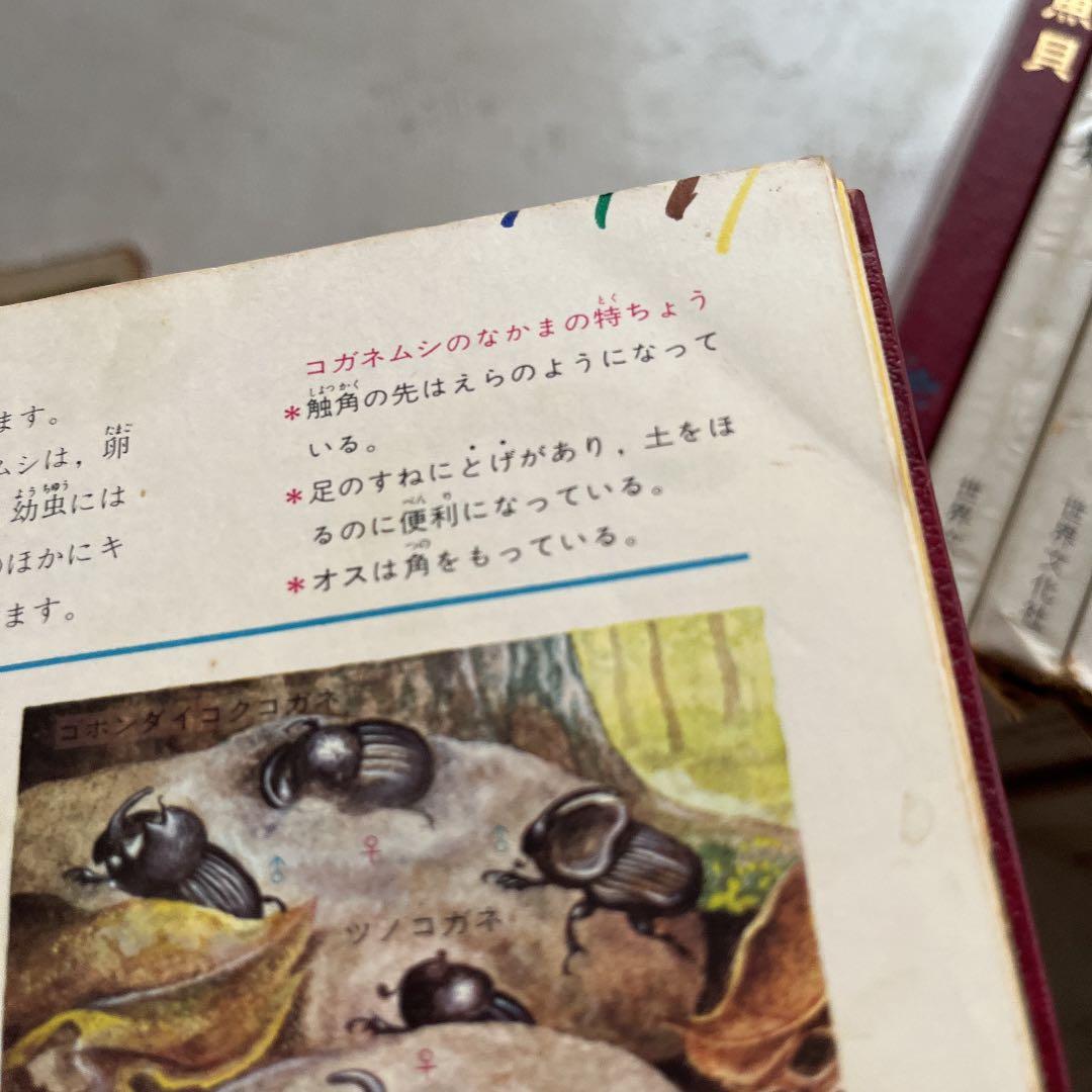 カラー図鑑百科 全24巻セット 世界文化社 - メルカリ