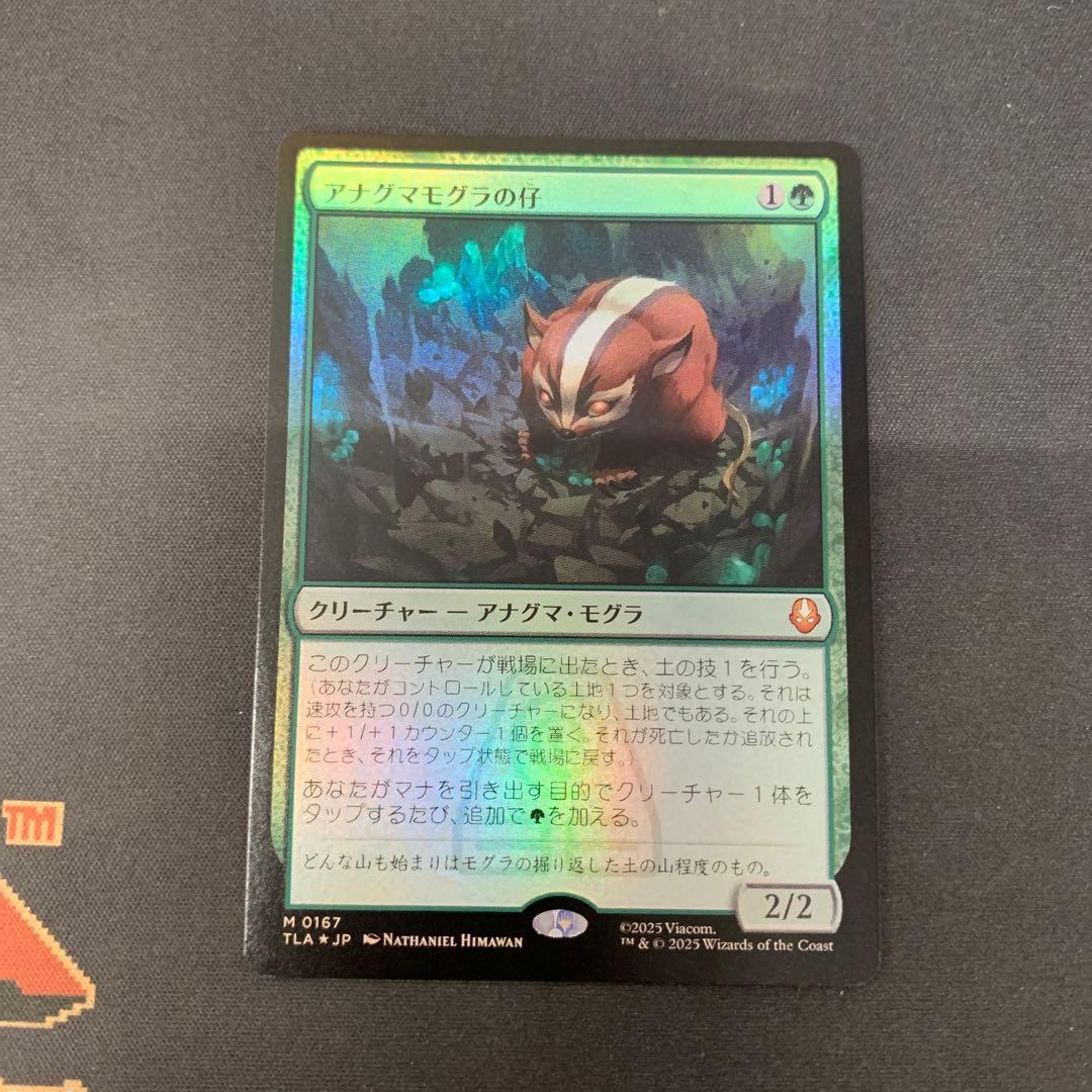 MTG アナグマモグラの仔 foil FOIL] アナグマモグラの仔/Badgermole Cub (全面アート版) 【英語版