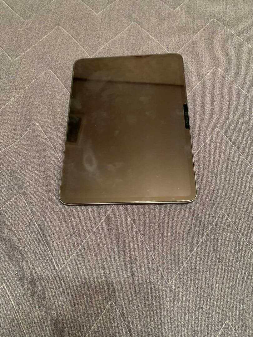 美品　Apple iPad Pro M4 11inch