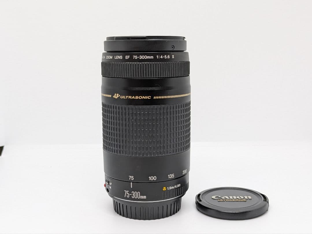 4月20日限定価格【超望遠レンズ】Canon EF 75-300mm Ⅱ USM