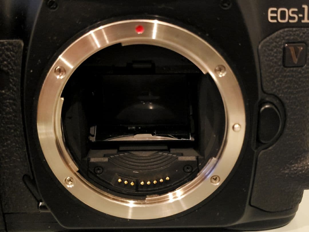 期間限定出品【美品】キャノンEOS-1V