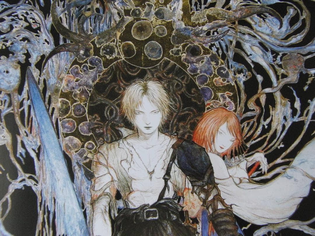 天野喜孝、【WATER WARRIOR】、希少な額装用画集より、FFⅩ - メルカリ