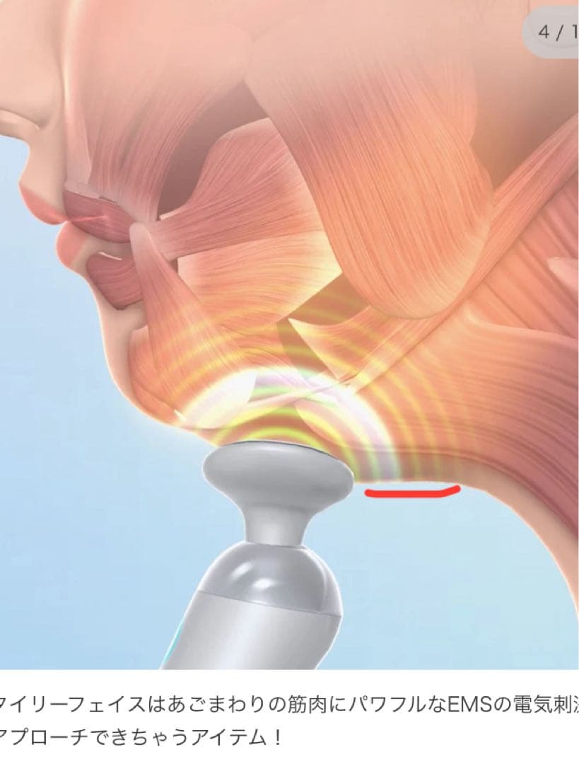 Renaissance StyllyFace SLF-100 美顔器