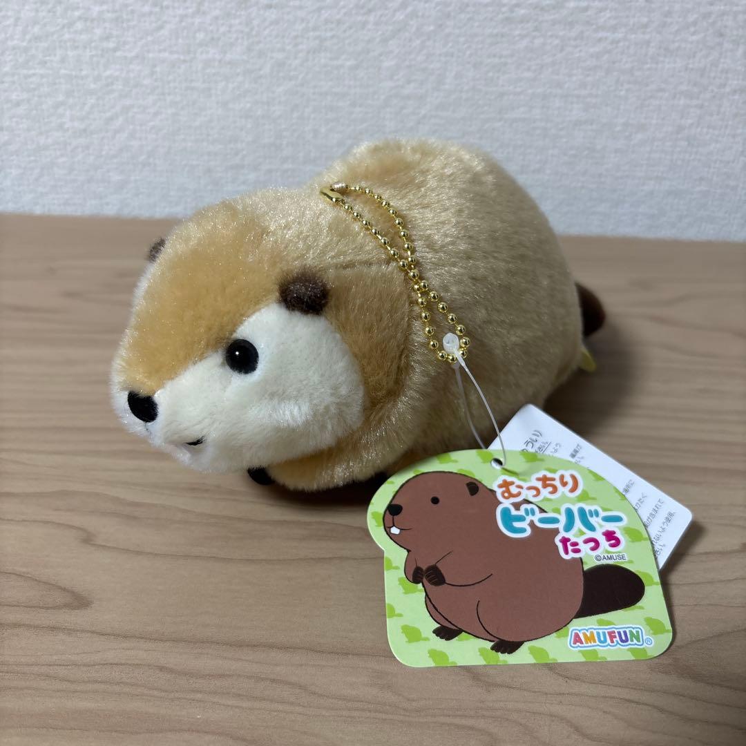 むっちり ビーバー たっち ぬいぐるみ マスコット - メルカリ