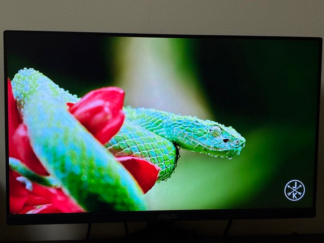 ASUS VG249Q1A ゲーミングモニター