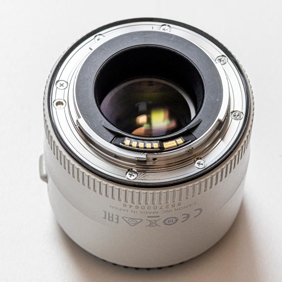 Canon キヤノン EXTENDER EF2X III【美品】ケース付き