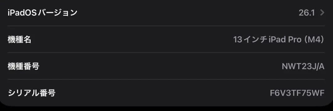 13インチ iPad Pro M4 Cellular Nano-texture