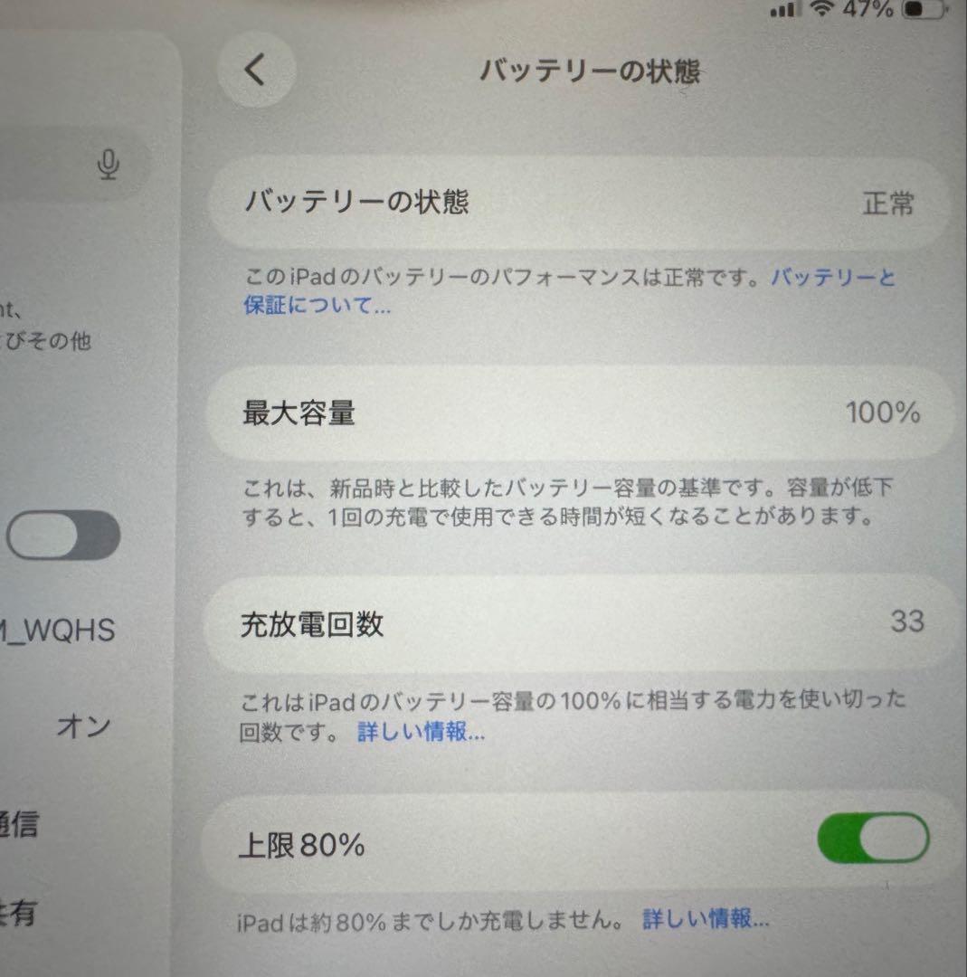 iPad本体 iPad mini ( A17pro )Wi-Fi + Cellular
