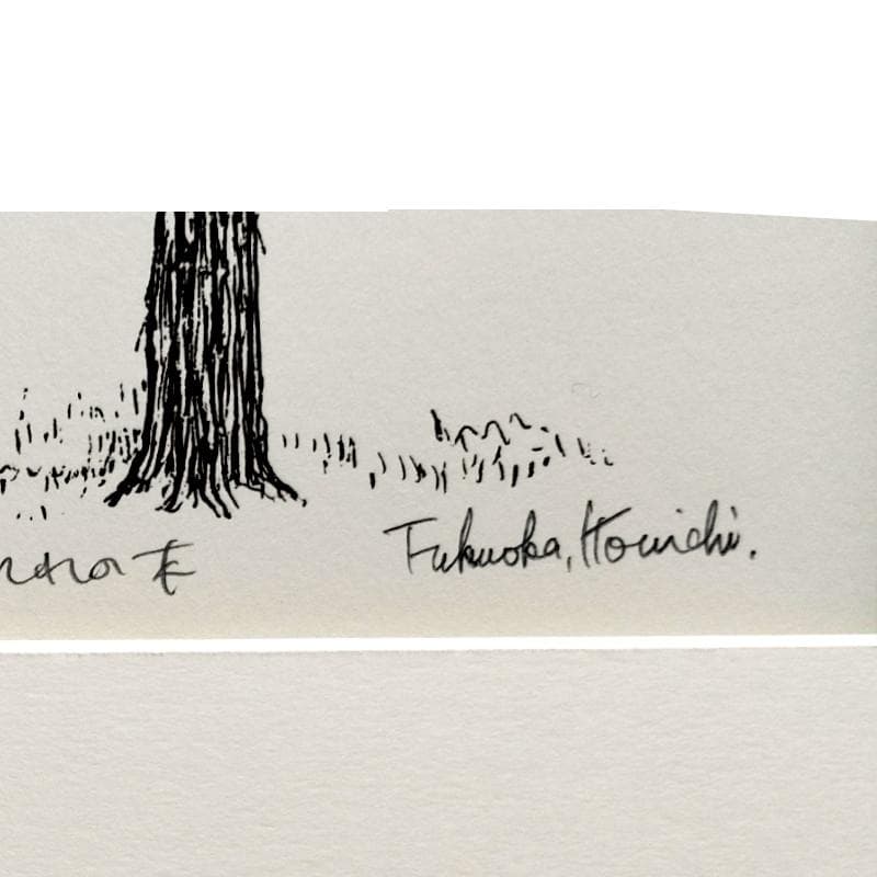 ☆福岡幸一☆「北大 にれの木」リトグラフ ed20/150 - メルカリ