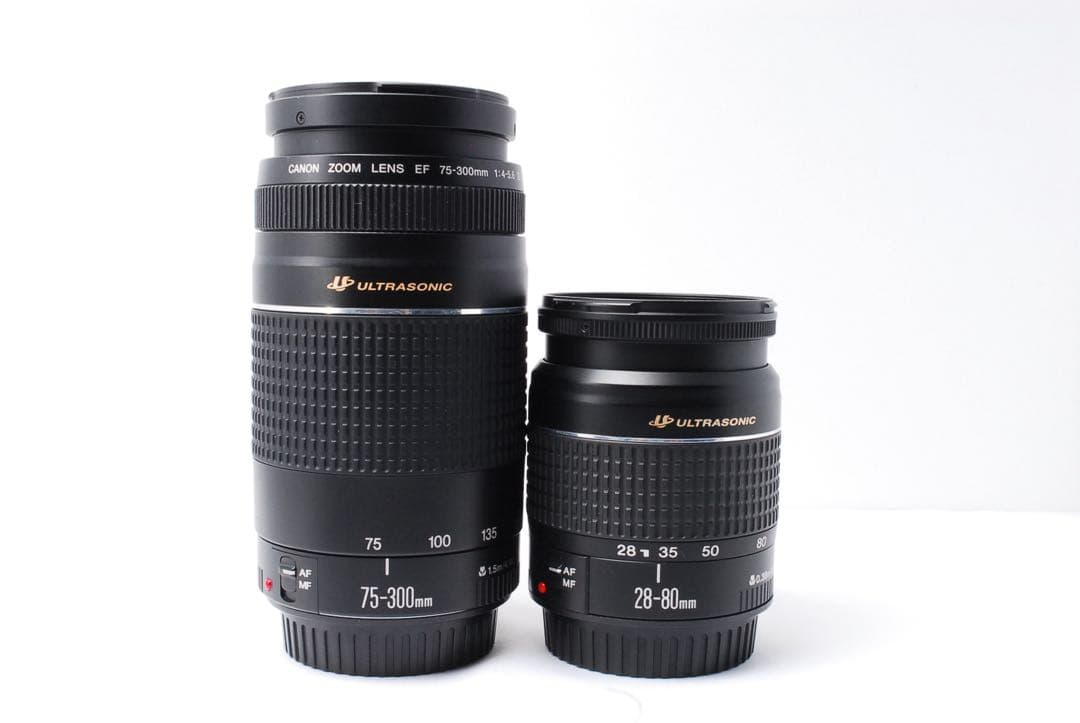 大人気の名機❤️Canon EOS 5D Mark III ❤️ダブルレンズセット