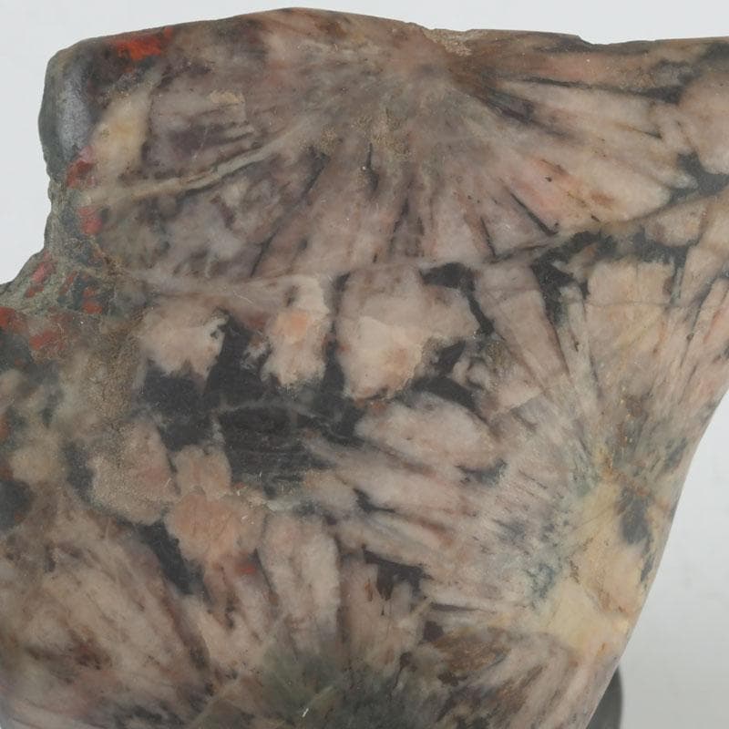 岐阜県根尾谷産 天然石 鑑賞石 菊花石 唐木台付 書付共箱